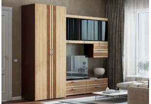 Гостиная Асти Вариант №5 (Дуб сонома, венге)