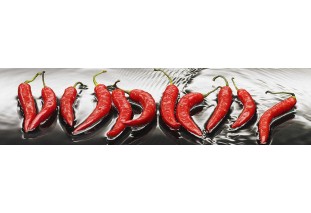 Фартук для кухни Перцы 61 х 244 х 0,3 см